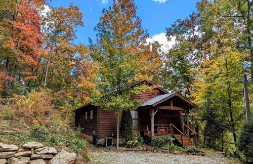Boat Dock and Fire Pit! Woodsy Lake Glenville Cabin - Foto 2