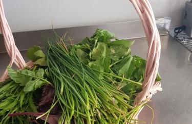 Le Moulin de Lavon - Foto 37