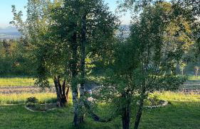 Stylish villa with jacuzzi, terrace, garden, Tatra - Foto 38