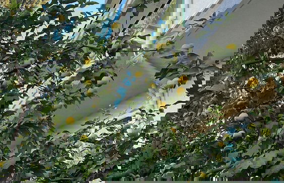 ABC APART HOTEL - Photo 59