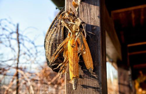 Agriturismo Residenza il Girasole - Photo 15