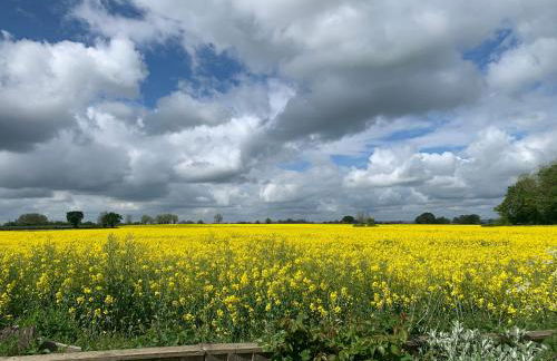 The Annex @ 3 East Town Cottages - Photo 36