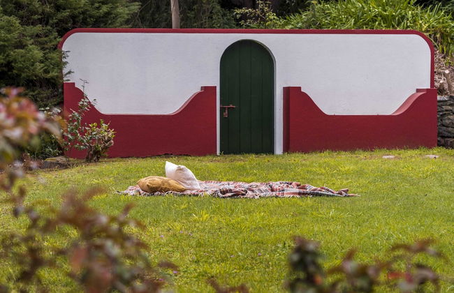 Surrounded by Nature - Casa da Cebola - Foto 28