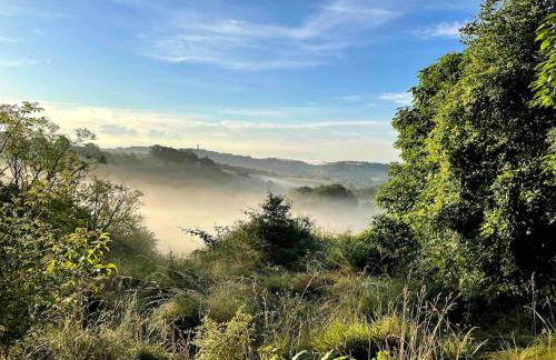 Las Vignes - Où le calm apaise l'âme - Foto 30