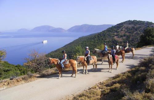 Kalypso Studios & Apartments - Foto 79