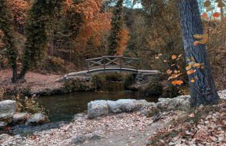 EL TEULAR DE CARMEN - Foto 43