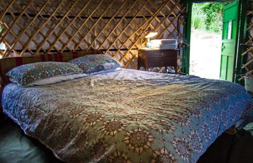 Hapus Yurt - Two Beautiful Yurts and Barn Cottage - Foto 89