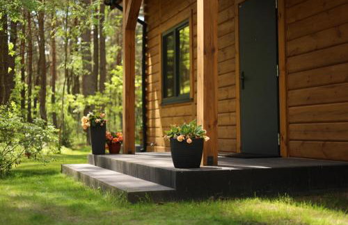 Na Las Czas, Wilga - Foto 48