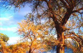 Casa Rubino Holiday Home - 50mt dal centro - Foto 27