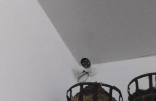 Corvos e Cadavais - Foto 29