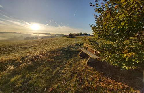 AnNo - Die Wohlfühl - Idylle in Grünbach_Kirchdorf - Foto 23