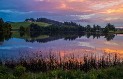 Direkt am See mit Bergblick - Foto 22