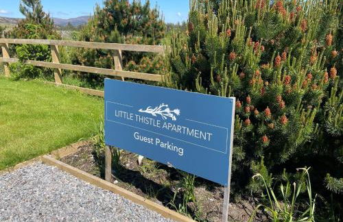 Little Thistle Apartment - Photo 2