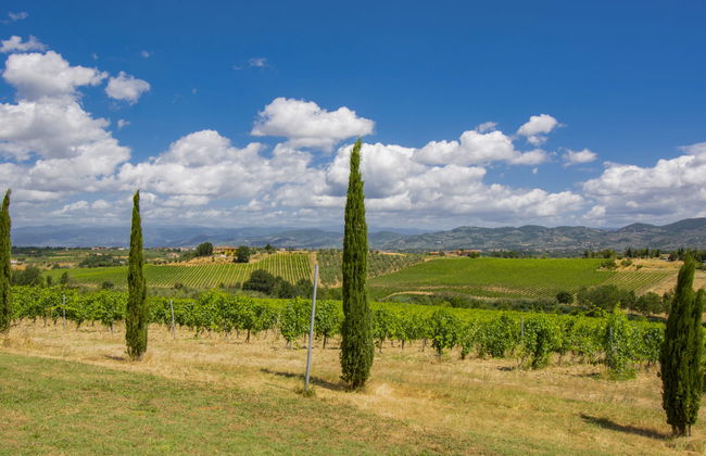 Leonardo - Borgo Fontana - Foto 26