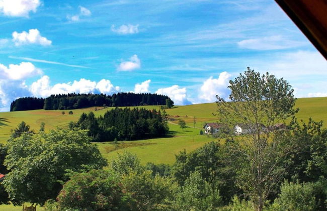 Apartment in Dachsberg-urberg - Foto 27