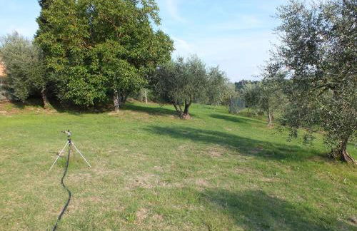 Agriturismo Ai Mandrioli - Foto 30