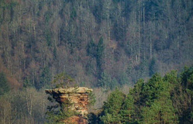 Holiday Apartment Rappenfels Lodge - Photo 5