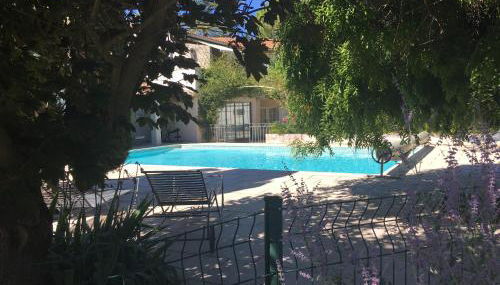 The Willow Tree - Photo 4