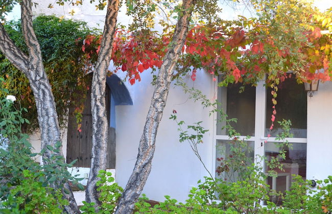 Las Navezuelas - Foto 35