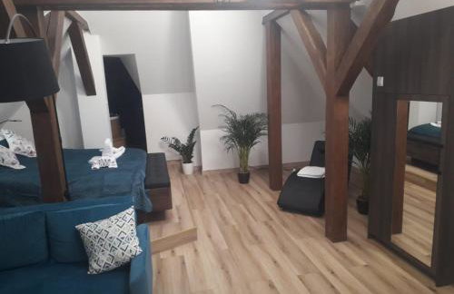 Apartamenty Złote Bory - Foto 39