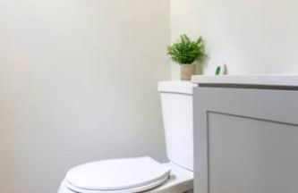 Bohemian Retreat Newly Remodeled with New Hot tub - Foto 15