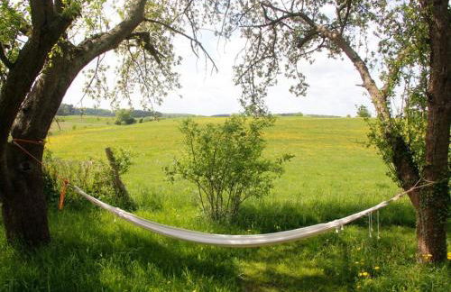 Hollerhof - Urwüchsiges Paradies - Kreativurlaub - Foto 16