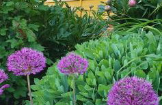 Żuławska Chata - Foto 39