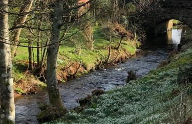 Lamlash- Self catering accommodation with seaviews - Photo 35