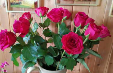 Treeside woodhouse - Foto 42