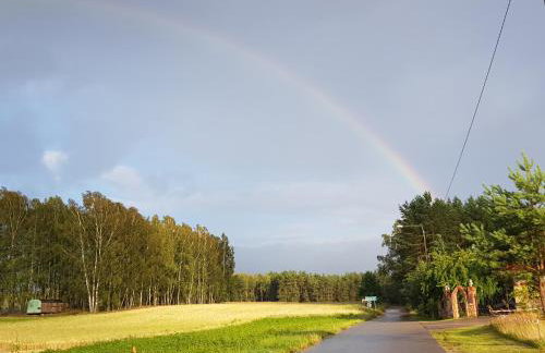 Domek Konrad - balia ogrodowa dodatkowo płatna - Foto 47