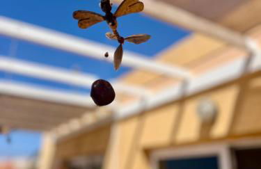 La Casita Naturaleza - Photo 26