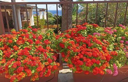 Villetta Porto Miggiano - Foto 27