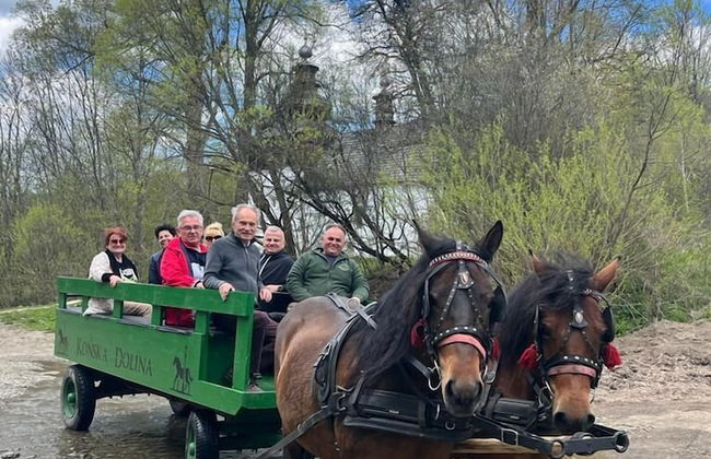 Końska Dolina - Photo 38