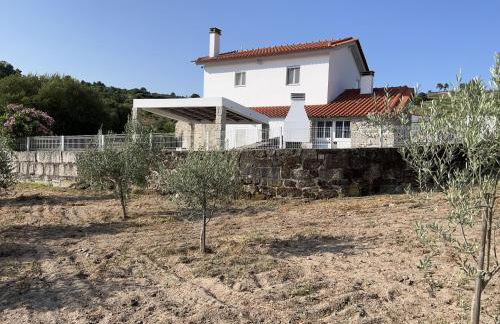 Quinta das Covas - Trancoso - Foto 18