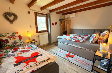 GITE LE COQ ROUGE - Foto 16
