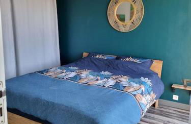 Sainte Cécile: appartement 2ch 6/7 pers - Foto 15