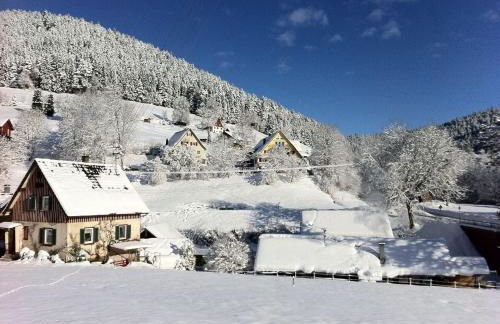 Ferienwohnung-Jungbauernhof - Foto 9