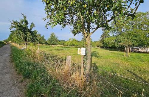 Gartenglück, entspannt wohnen am Obstwanderweg - Foto 32