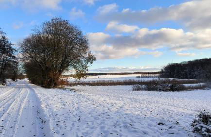 Ferienwohnung OstseeBlick Rerik - Foto 43