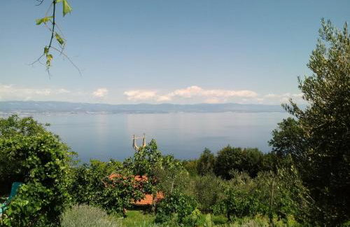 Apartments Blue & Green - Foto 1