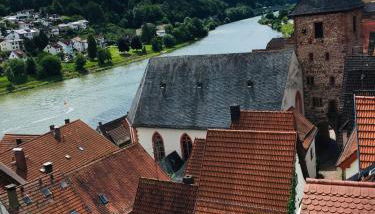Neckarblick,Natur, Altstadt - Foto 4
