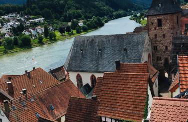 Natur und Neckarblick bei Heidelberg - Photo 27