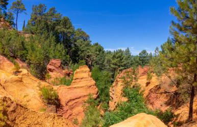 Mas du Clos , Tilleul - Foto 11