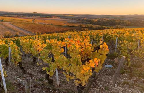 Maison de campagne entre vigne et bois - Foto 23
