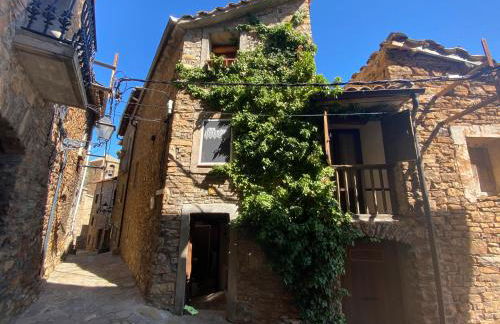 Casa Narcís - Foto 1