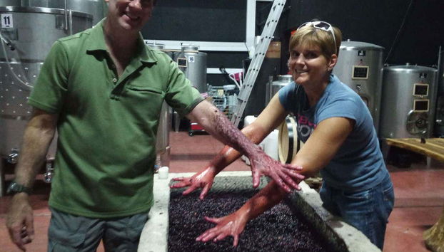 The wine making process