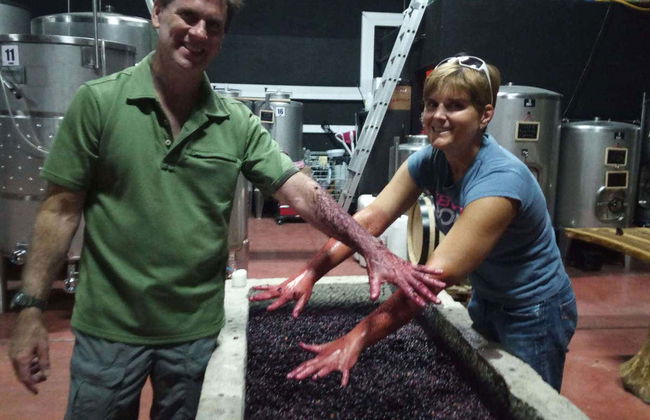 Prior Lucas Winery Tour - Photo 2