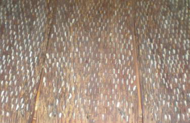 Las Casas Rurales María Victoria - Foto 49