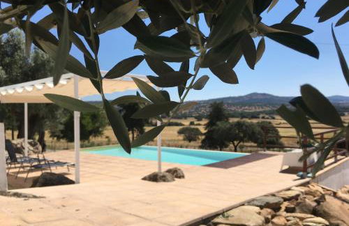 Almojanda 3 olive tree - Foto 7