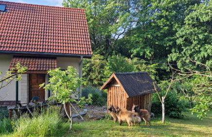 Jaworowy Stok z widokiem na góry i ogrodem - Foto 11